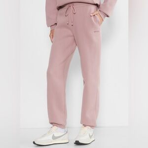Aritzia TNA Extra Fleece Boyfriend Jogger